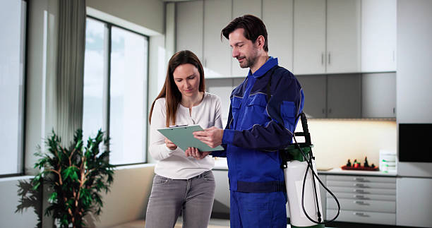 شركة مكافحة حشرات فى بالم هيلز